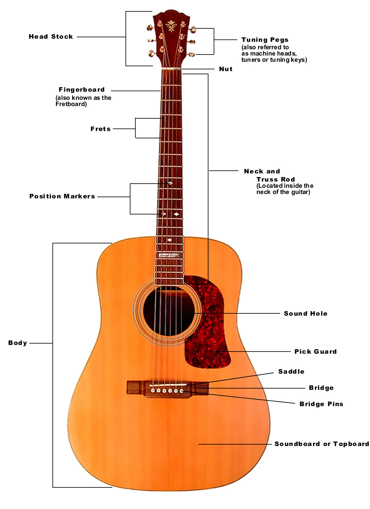 Below is a diagram of the acoustic guitar and its parts.